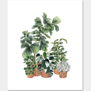 House Plants 8 Posters and Art